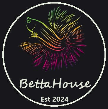 BettaHouse